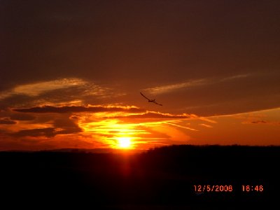 Flying into the sunset.