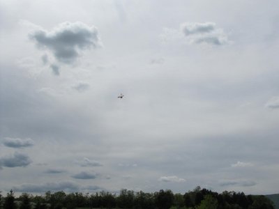 Bacil on approach at the airport