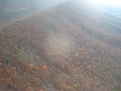But first: Some isolated color still present on the lower slopes...