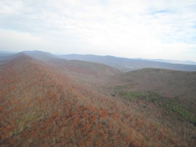 Not so on the mountain top, looking north toward Signal Knob : Only ochre hues remain.